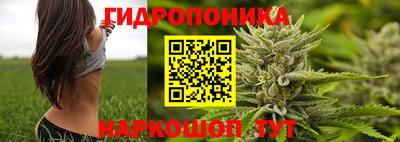 apvp Бузулук